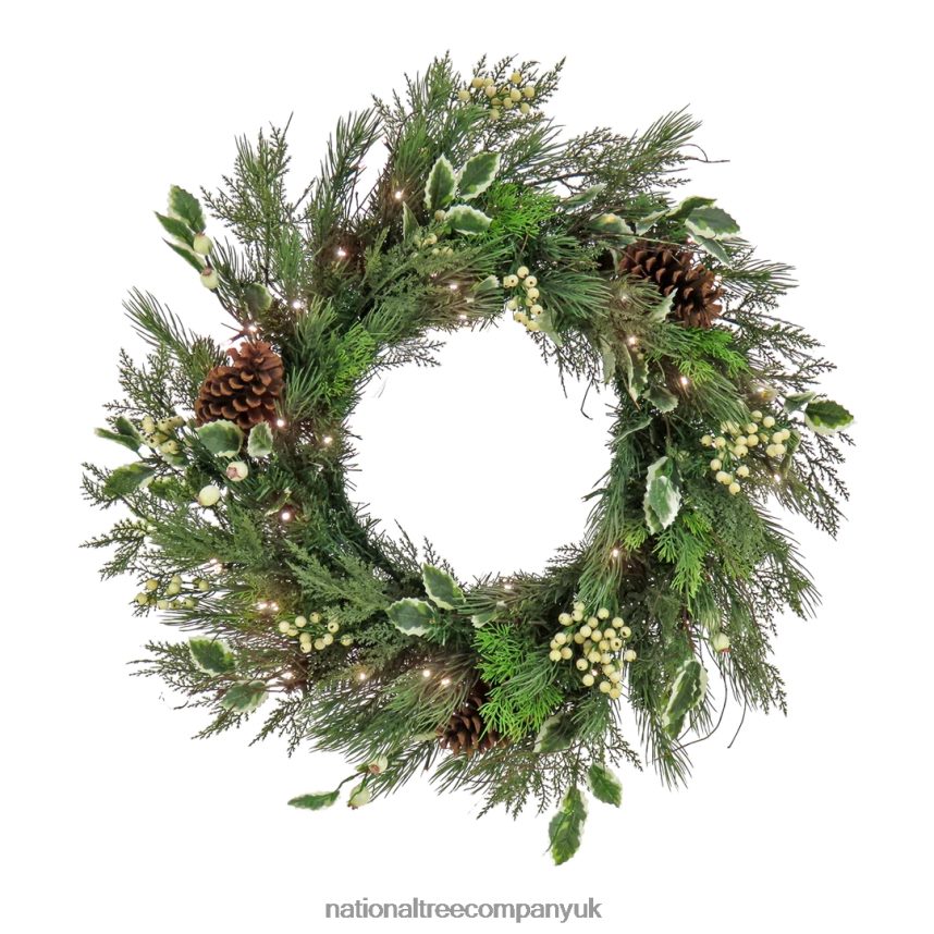 Greenery | National Tree Company 28 HGTV Home Collection Pre-Lit Holly and Berry Wreath F2L4F277